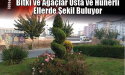 Bitki ve Ağaçlar Usta ve Hünerli Ellerde Şekil Buluyor